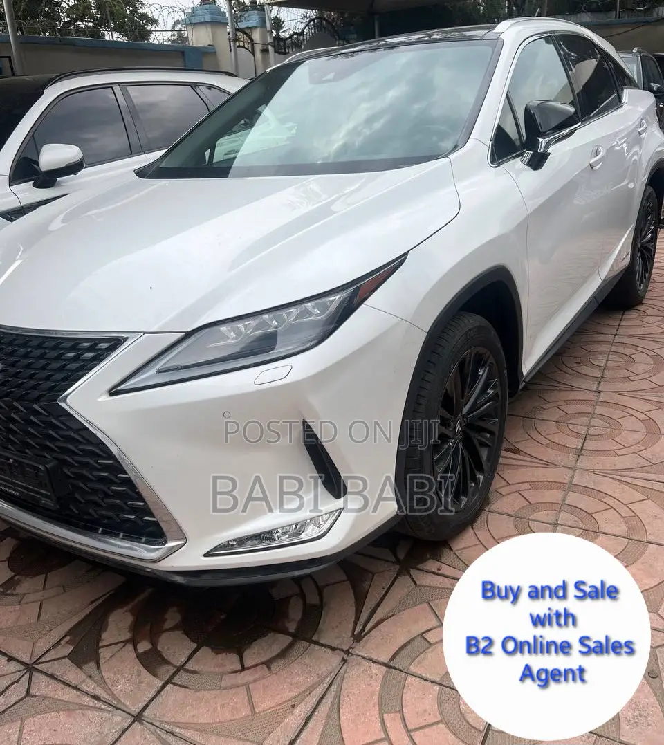 New Lexus RX 450h 2022 White