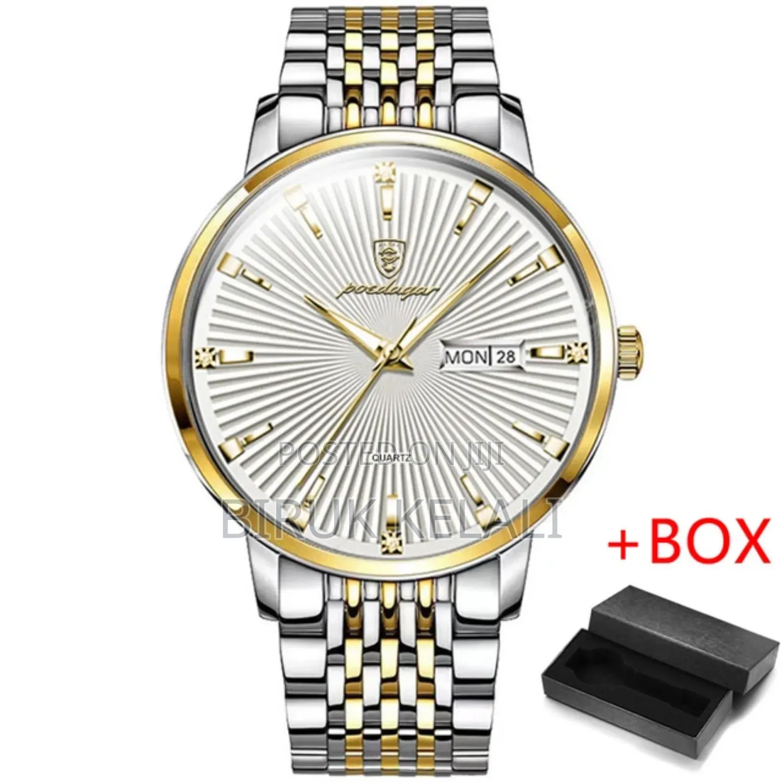 POEDAGAR Luxury Men's Watch