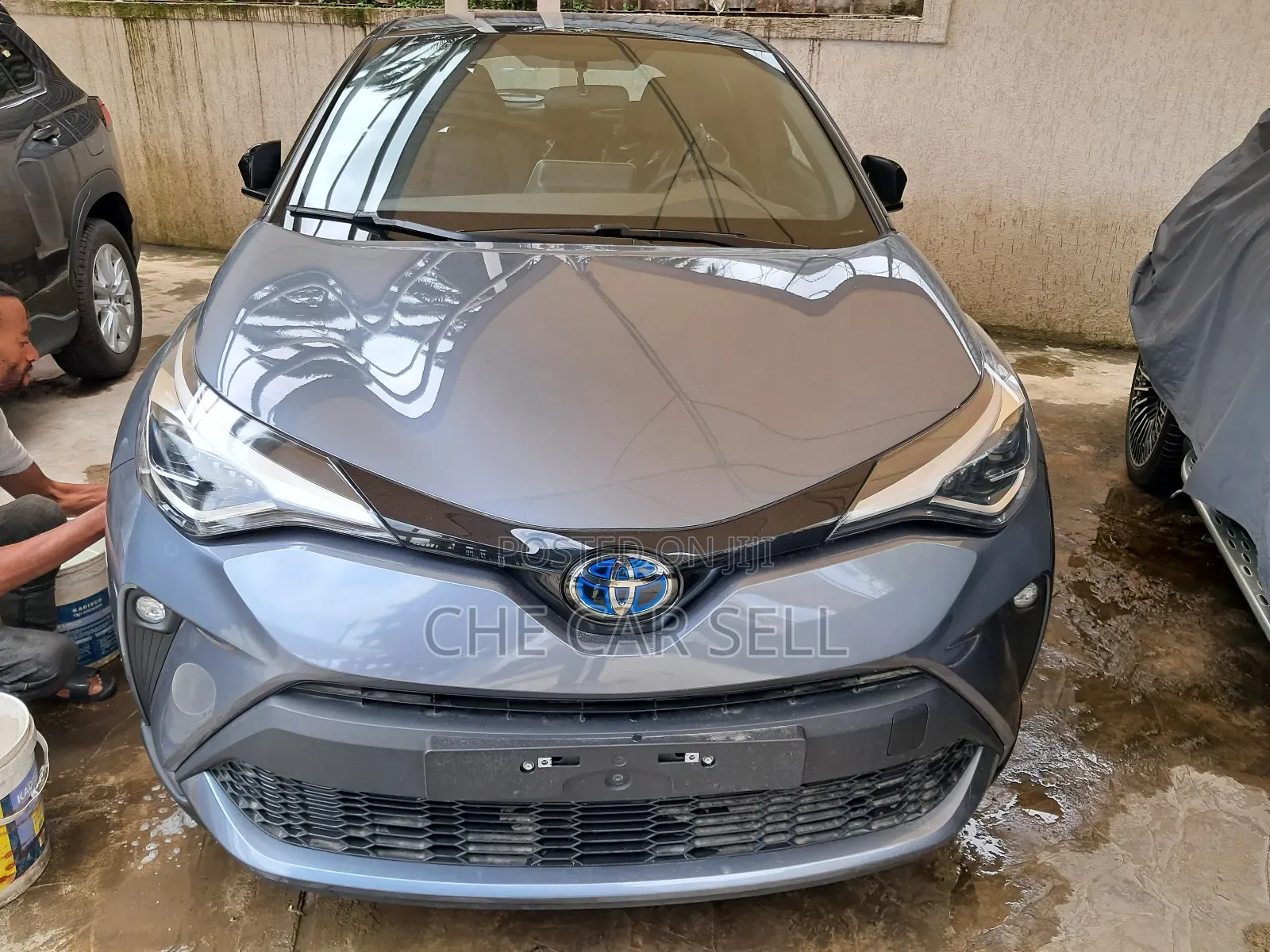 New Toyota C-HR 2024 Blue