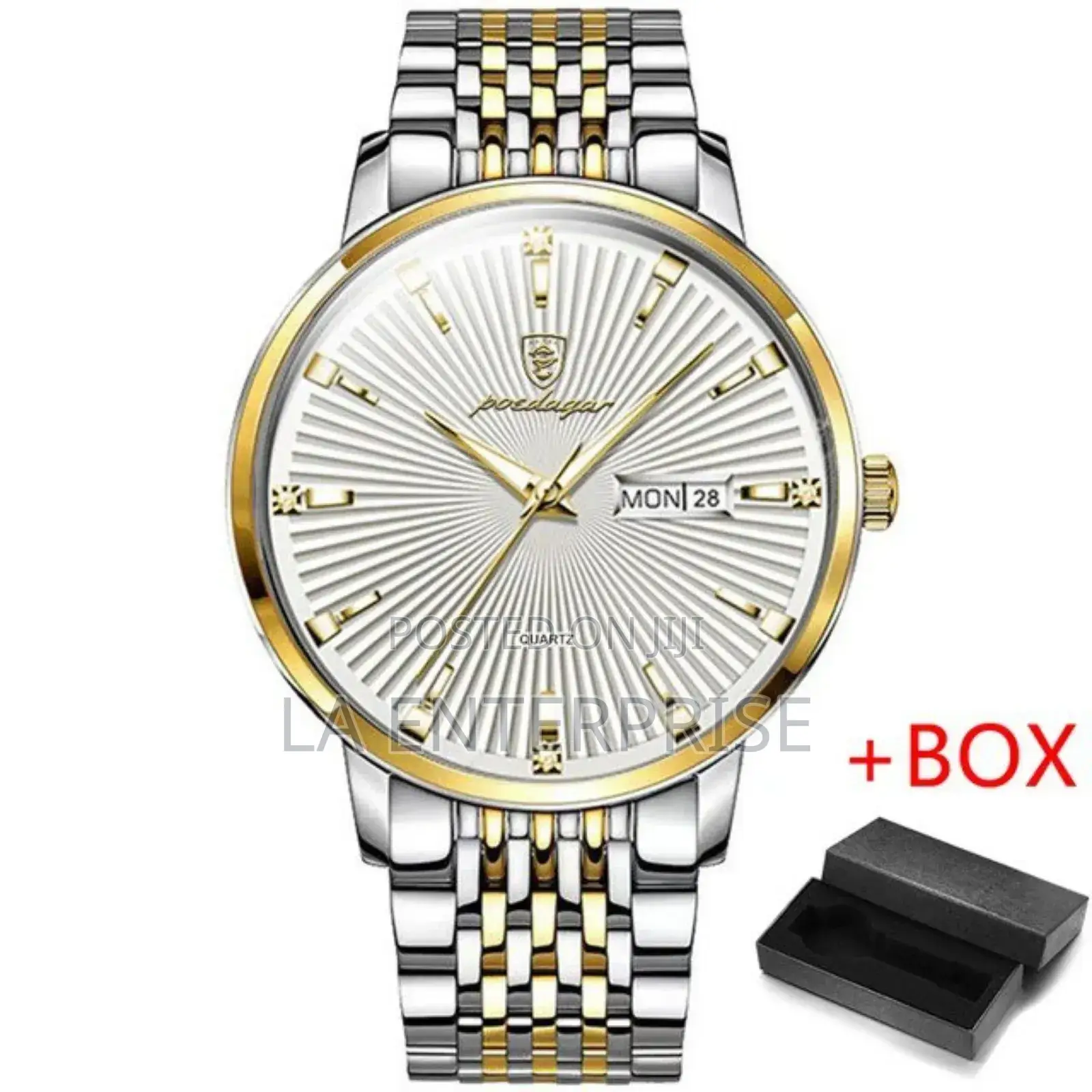 POEDAGAR Luxury Men's Watch