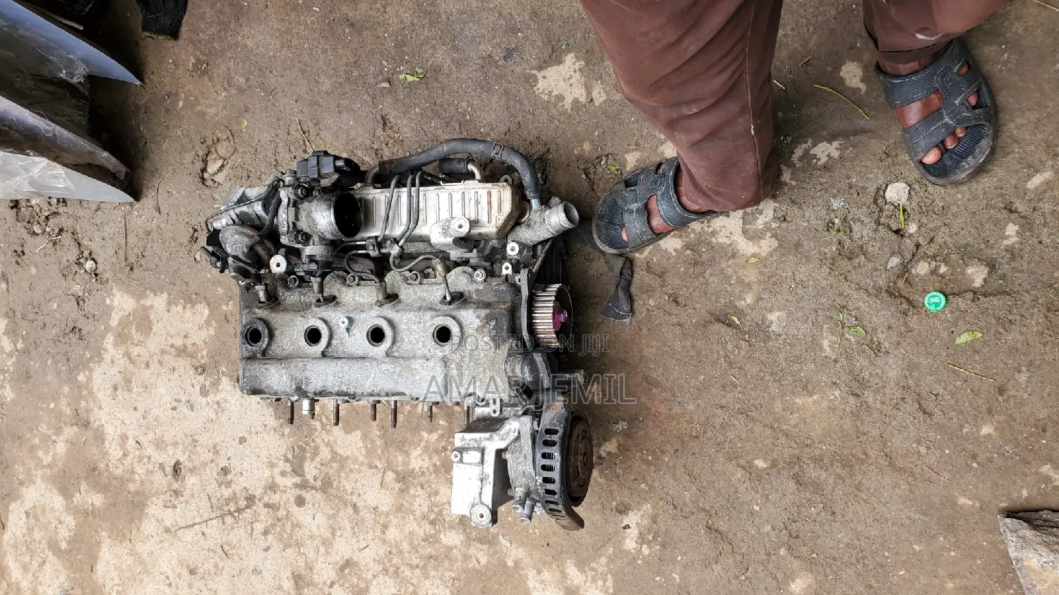 Dolphin Cylinder Head