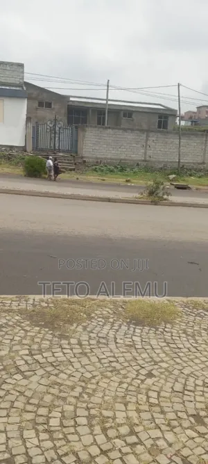የሚሸጥ ቦታ አያት ዋና መንገድ የያዘ