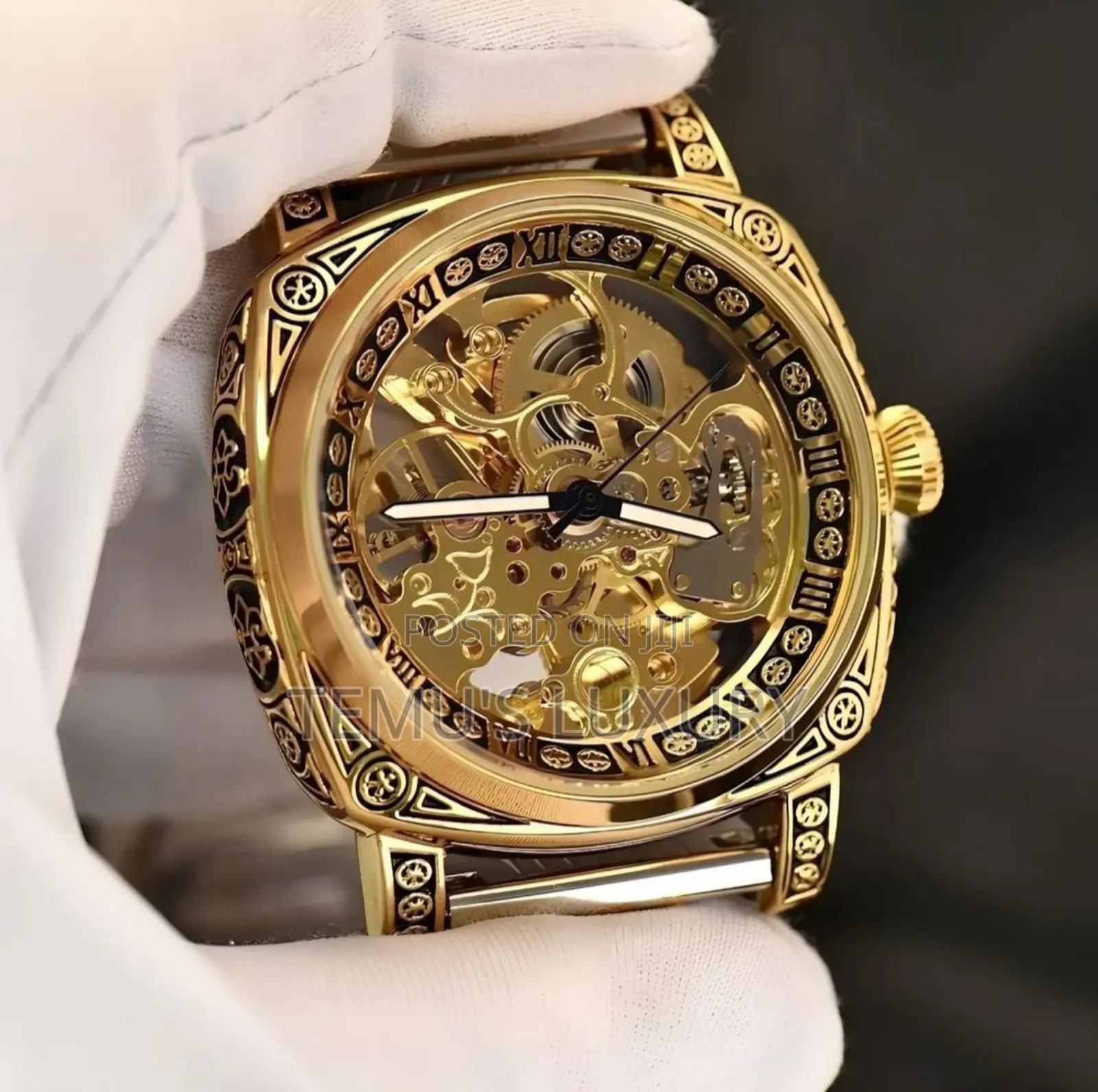 Tevise Automatic Mechanical Watch