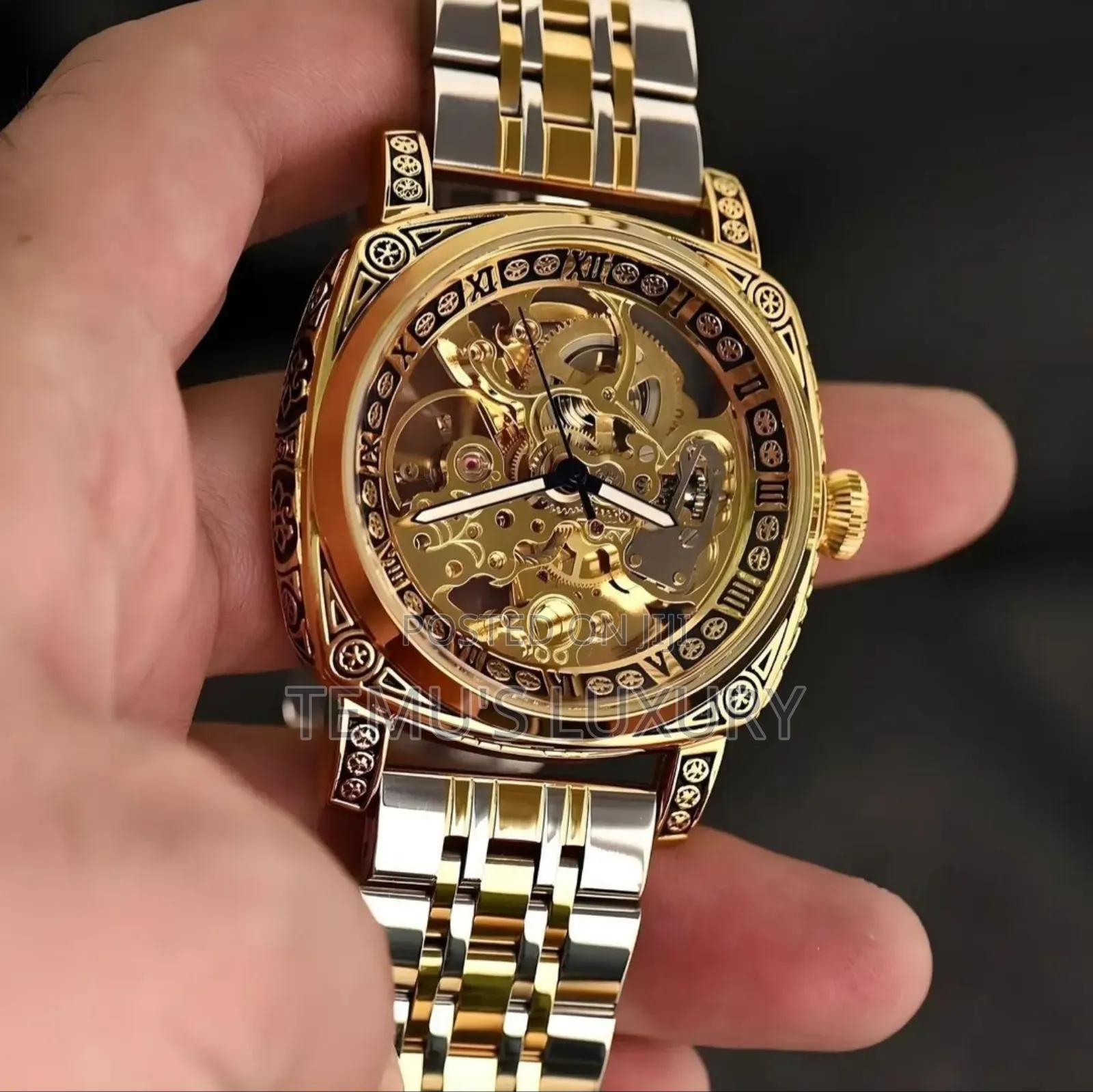 Tevise Automatic Mechanical Watch