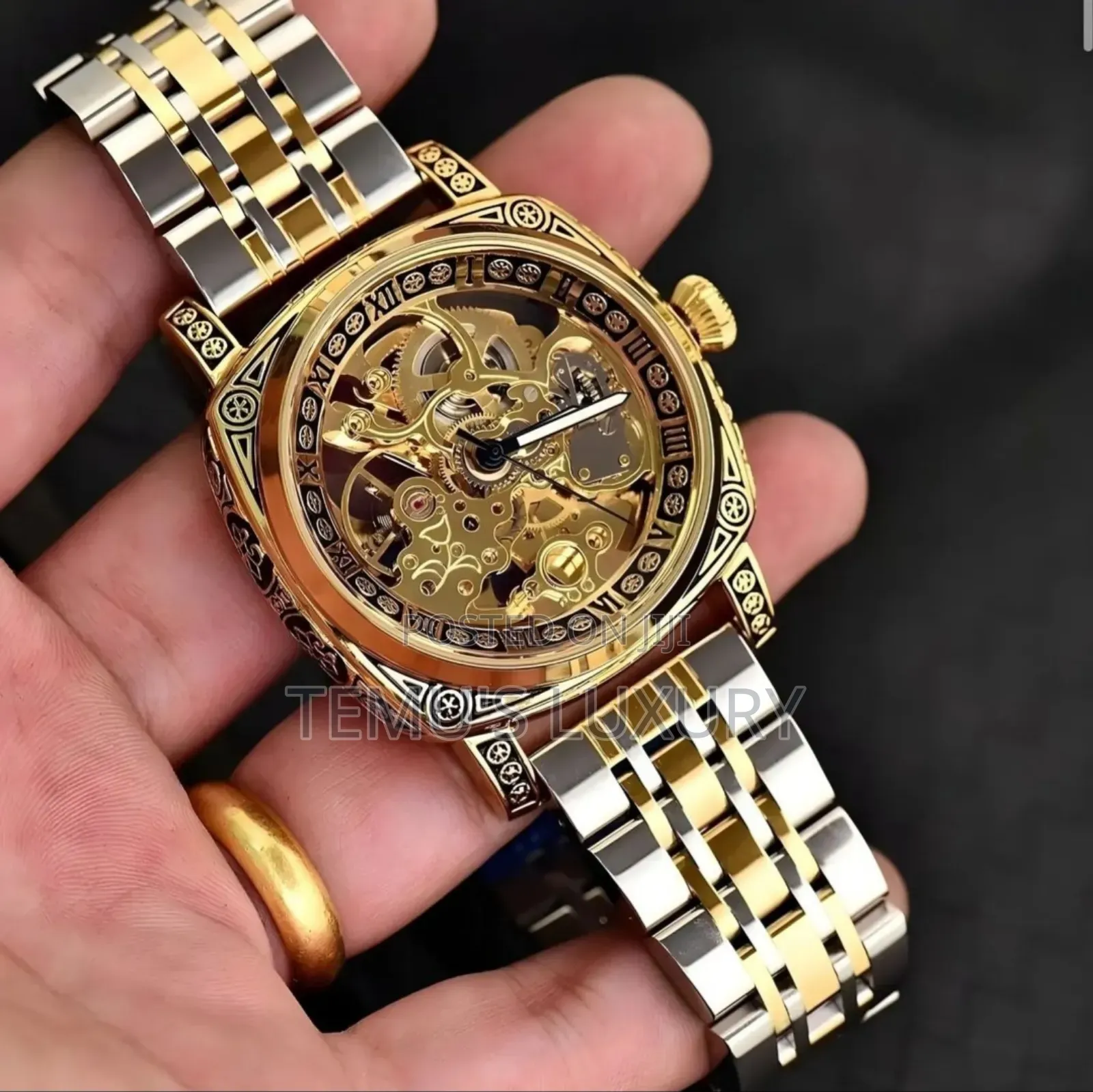 Tevise Automatic Mechanical Watch