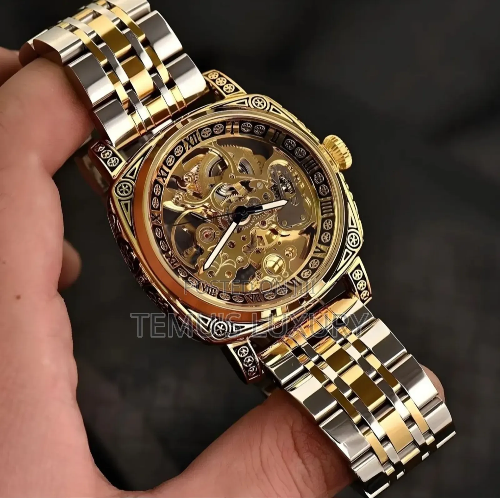 Tevise Automatic Mechanical Watch