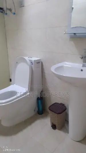 Furnished 3bdrm Apartment in Bole for rent