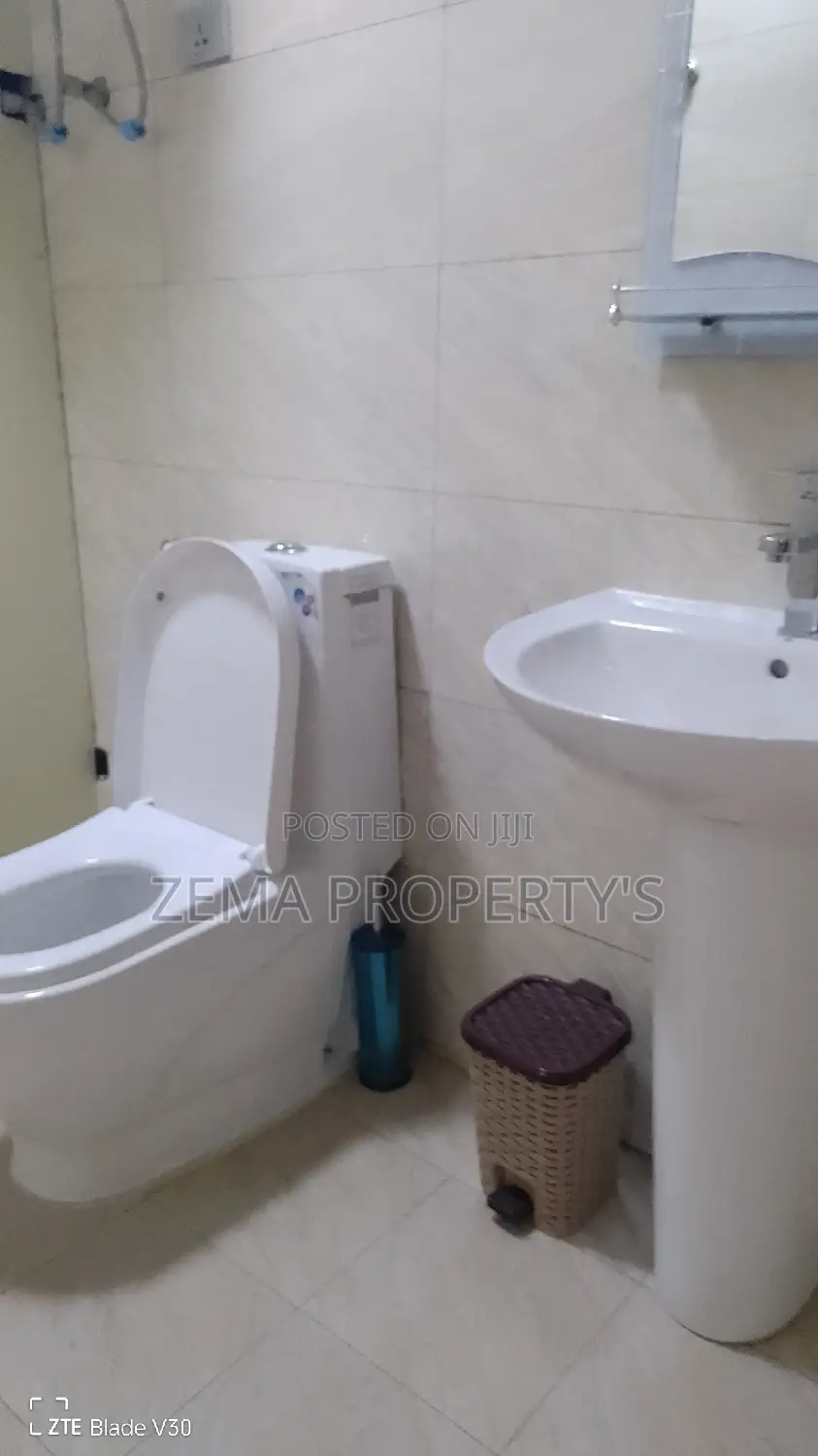 Furnished 3bdrm Apartment in Bole for rent