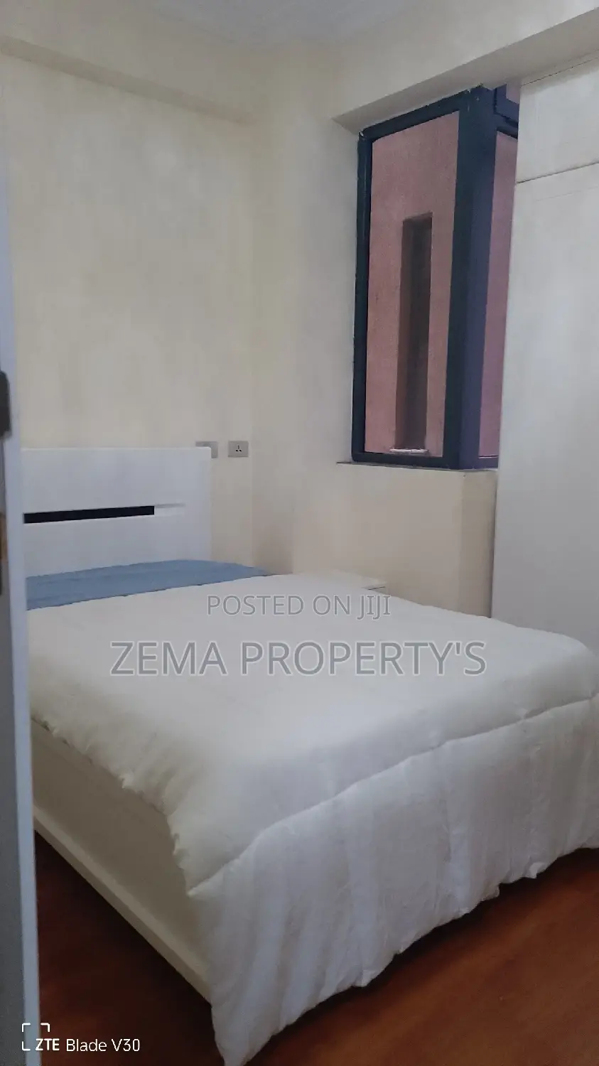 Furnished 3bdrm Apartment in Bole for rent
