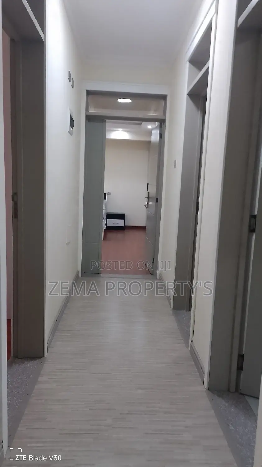 Furnished 3bdrm Apartment in Bole for rent