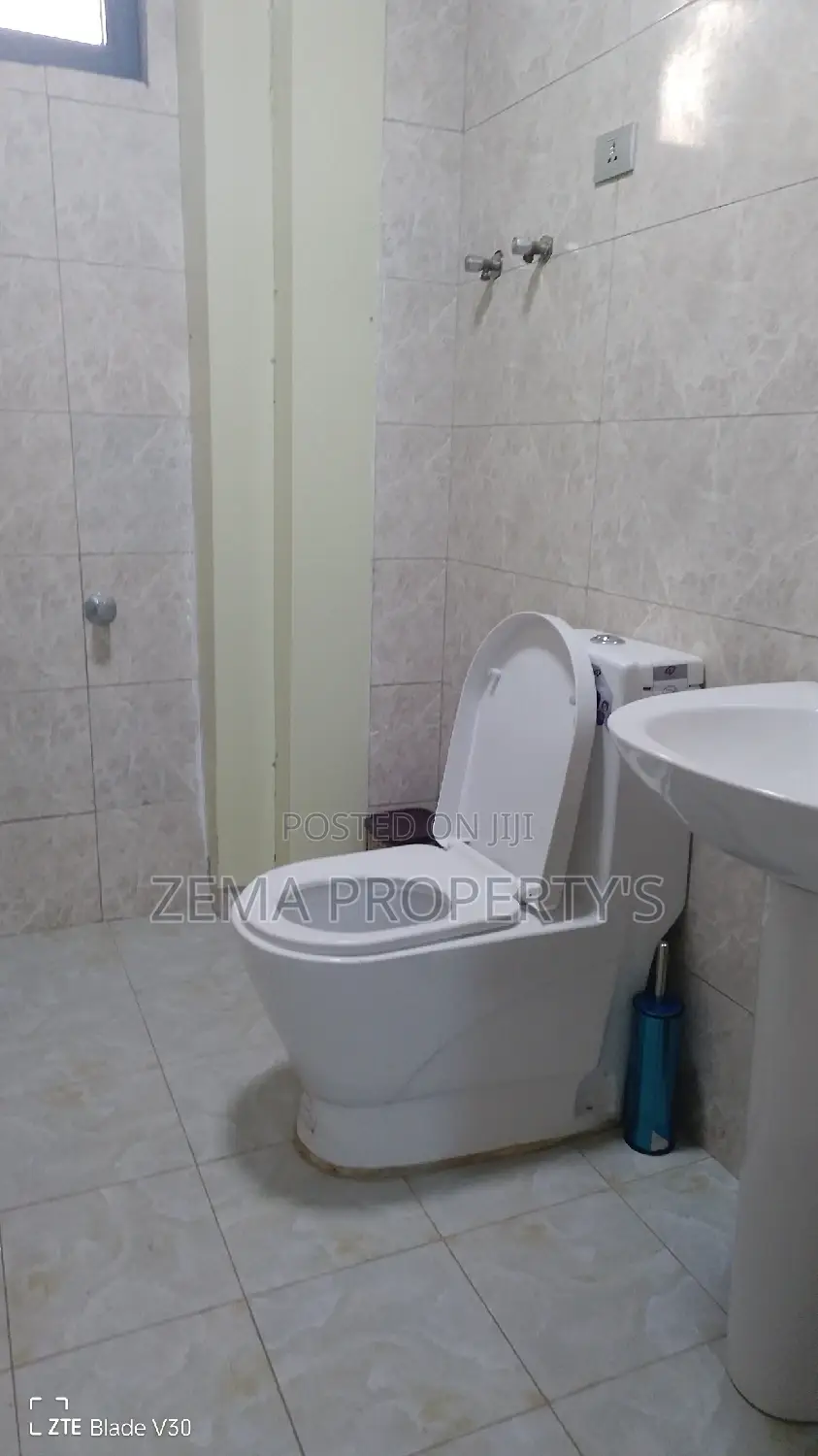 Furnished 3bdrm Apartment in Bole for rent