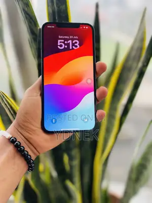 Apple iPhone 12 Pro Max 256 GB Blue