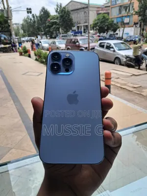 Apple iPhone 13 Pro Max 1 TB Blue