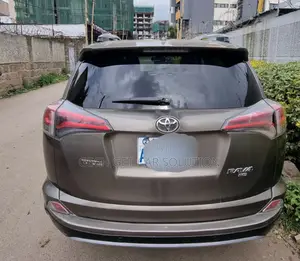 Toyota RAV4 2017 Brown