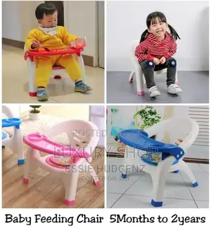 Photo - Feeding Tray With Chair