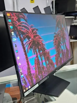 Dell Monitor