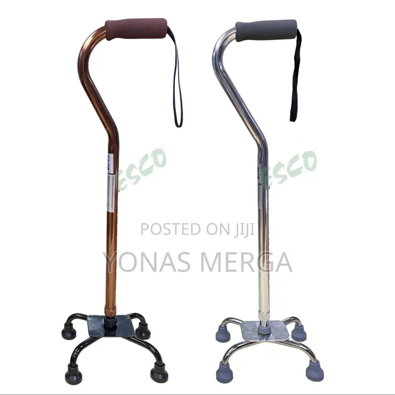 Walking Stick for Seniors, Elderly,Disabled/Alloy+Steel Base