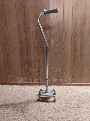 Photo - Aluminum Walking Stick/ከዘራ/Suitable for Users With a Height