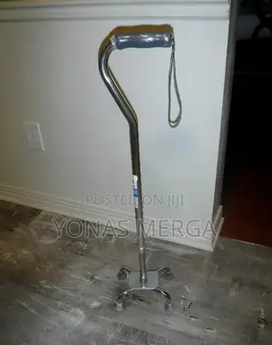 Photo - Walking Stick/the Walking Stick Is Made of Anodized Aluminum