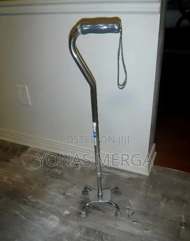 Walking Stick/the Walking Stick Is Made of Anodized Aluminum