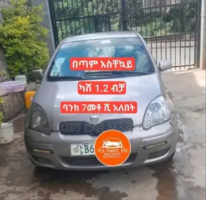 Toyota Vitz 2004 Gray