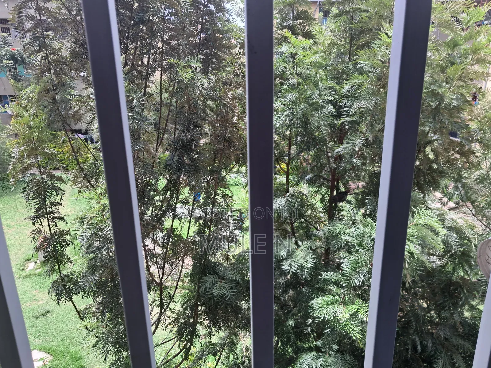 Furnished 1bdrm Condo in Abado Condominium, Yeka for sale