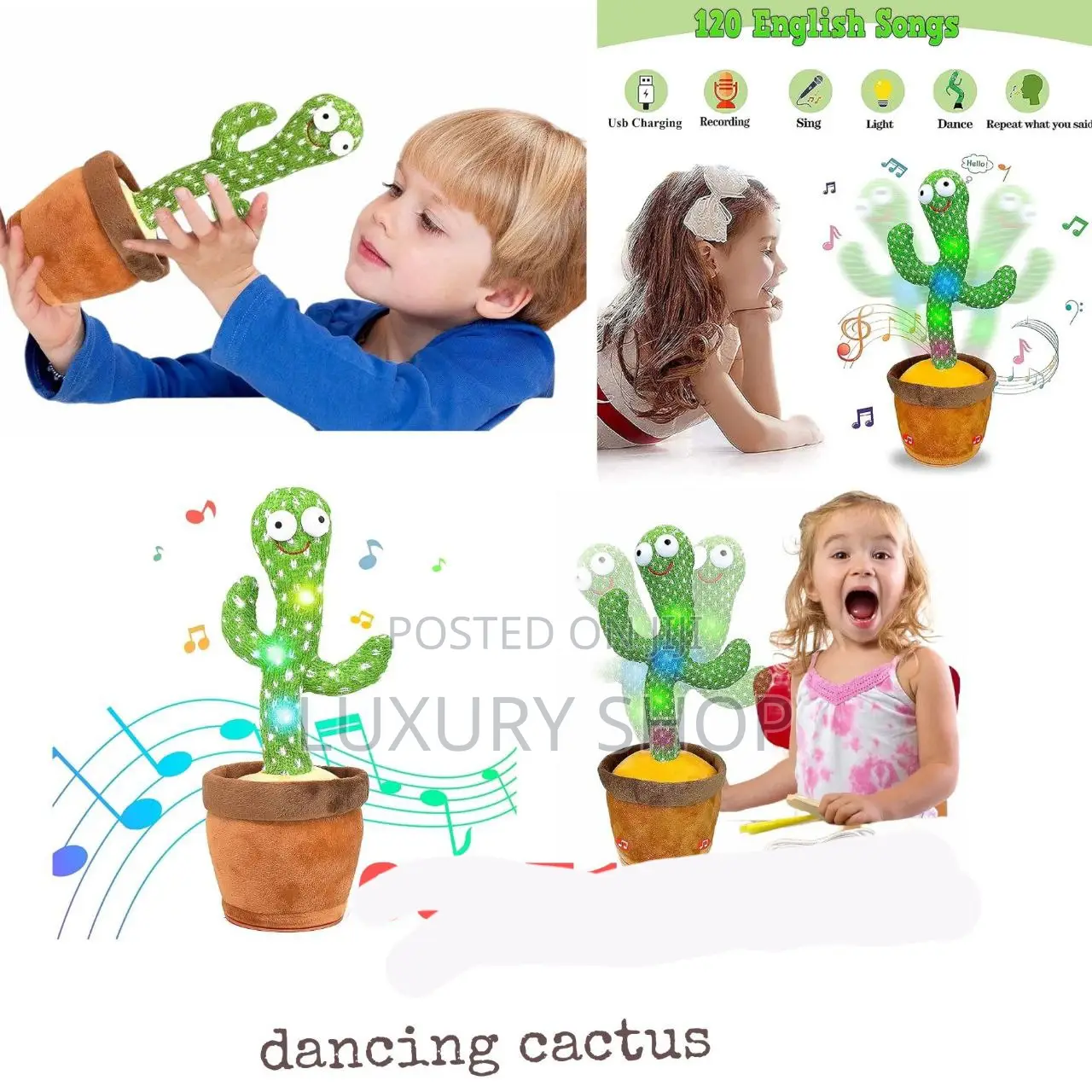 Dancing Cactus Toy Used in All