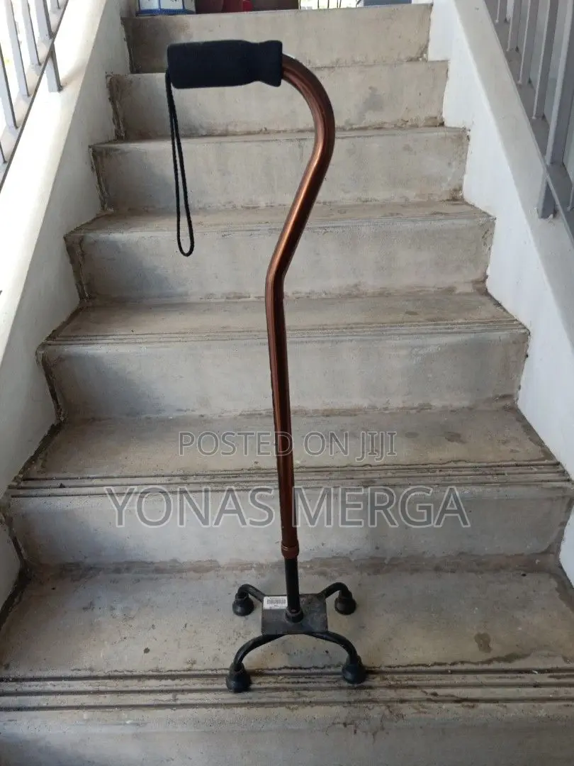 Walking Stick Provide Ultimate Stability Support on Walking