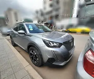Peugeot 2008 2022 Silver