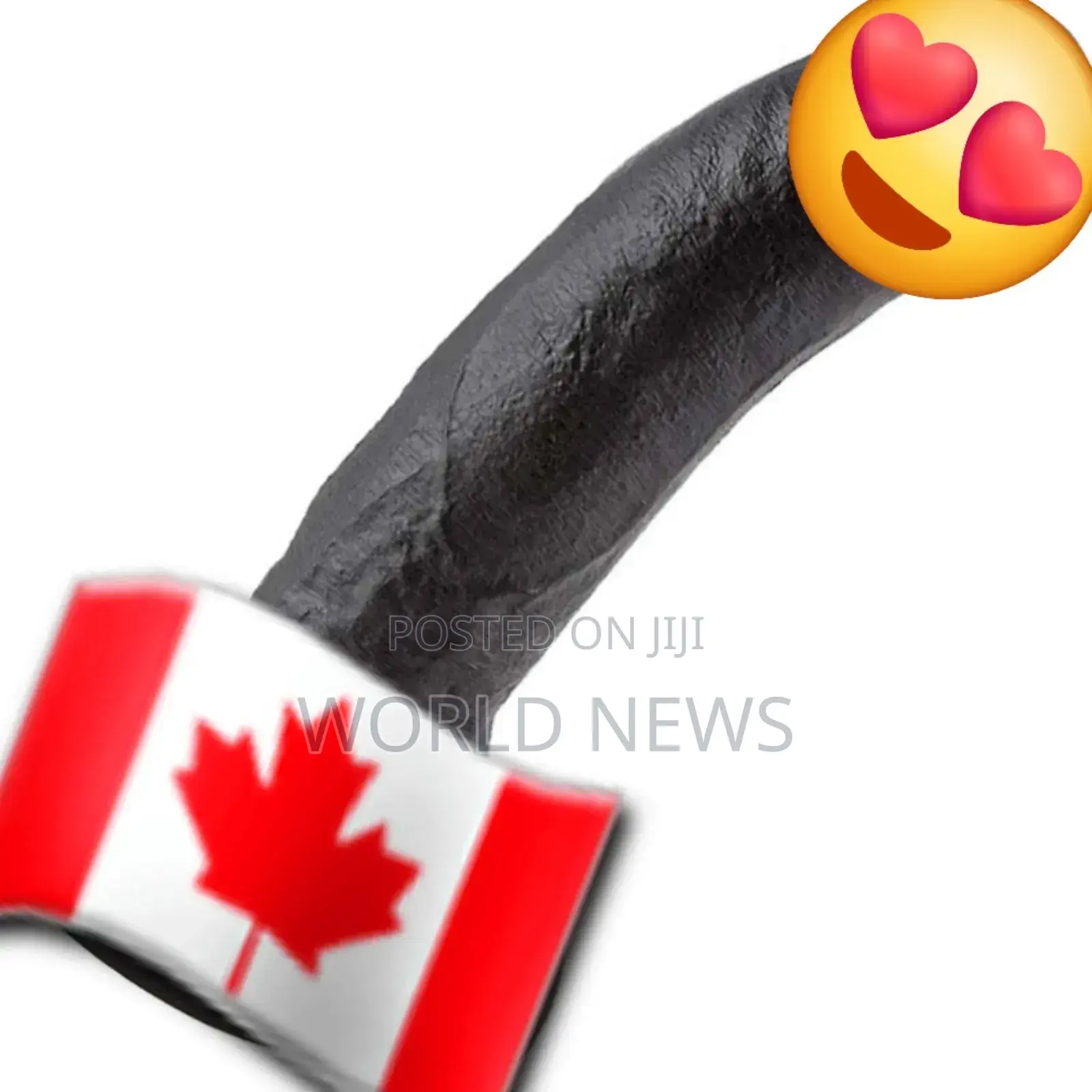 Black Dildo With Strap-On