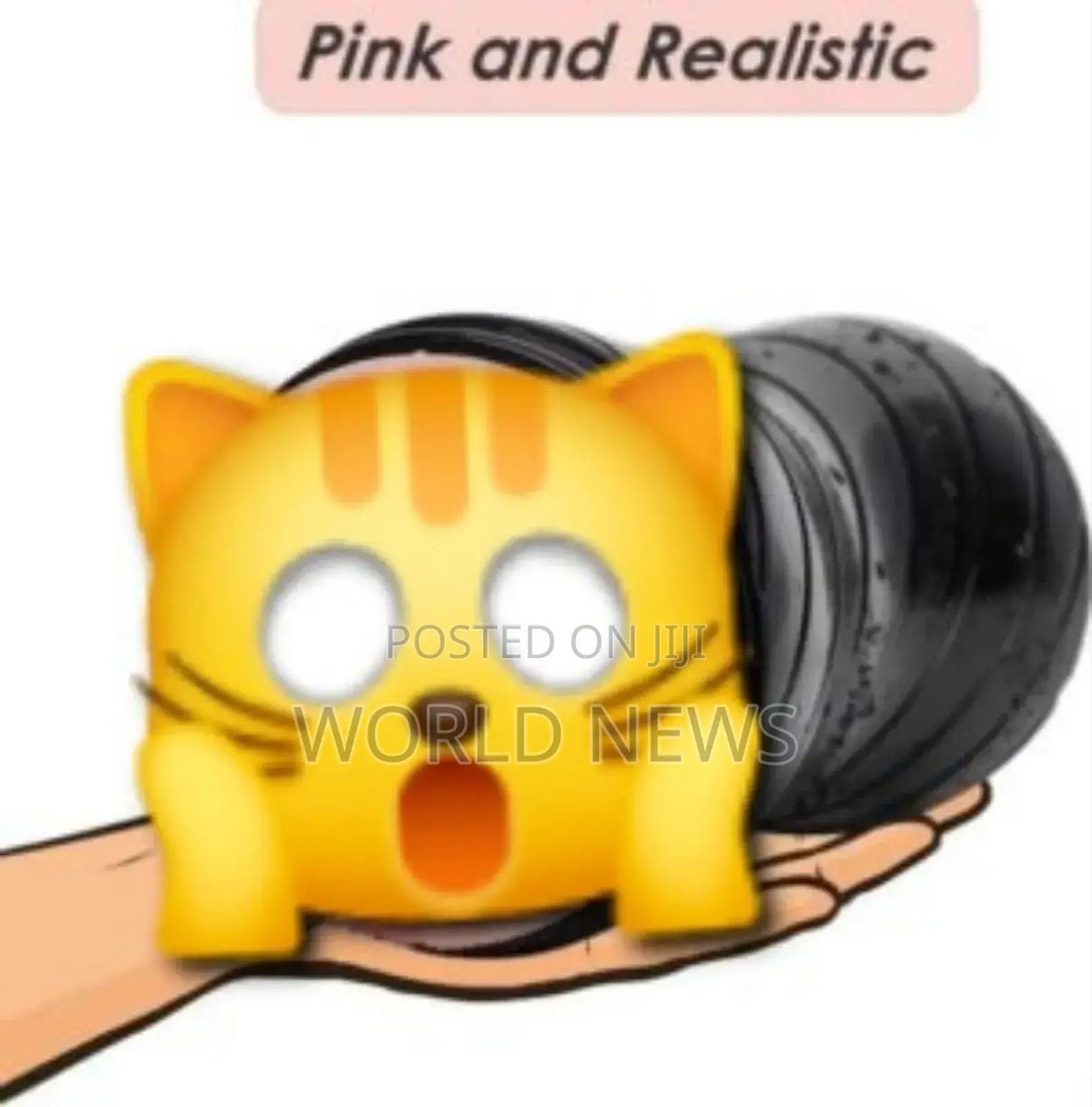 Kutr and Pocket Pussy