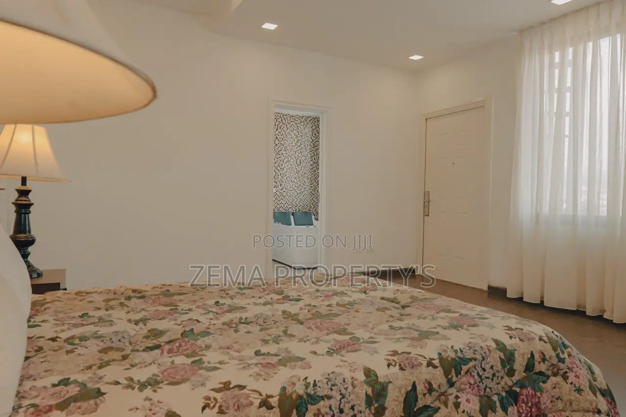 Furnished 3bdrm Apartment in Zema, Bole for rent