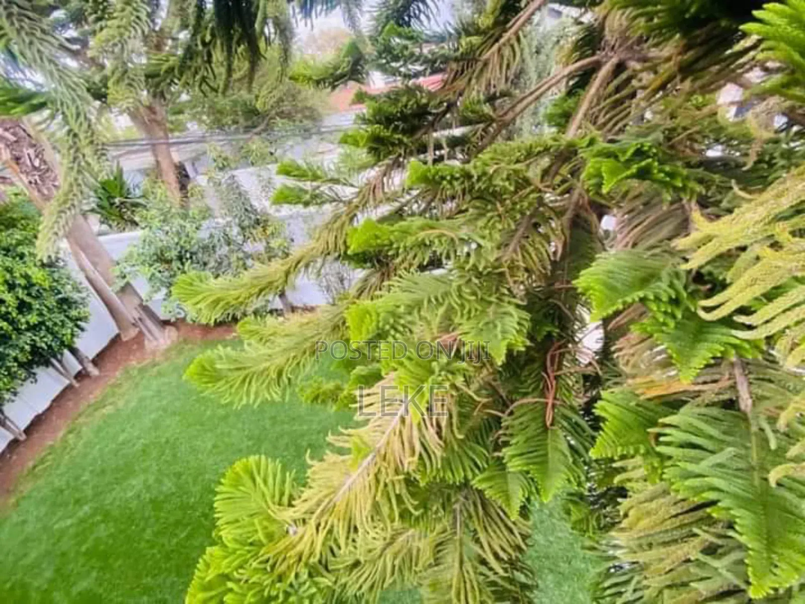 4bdrm House in Bole for rent