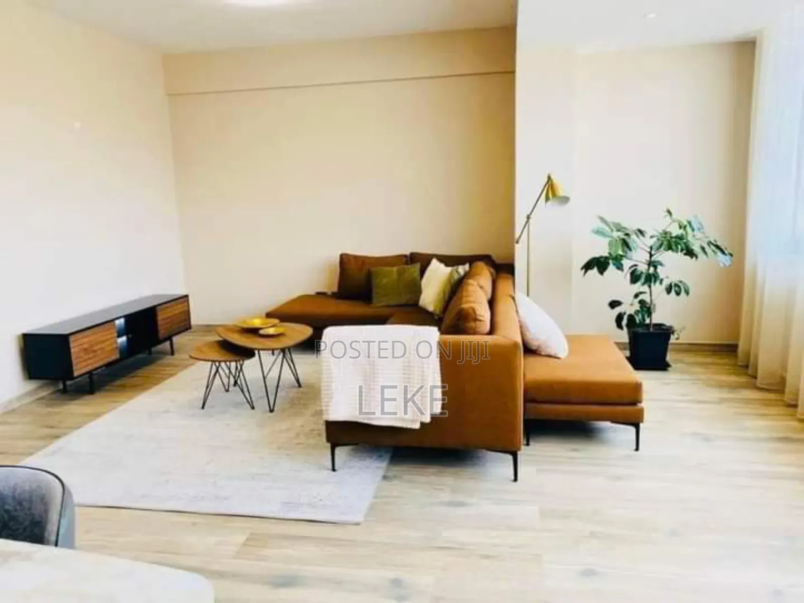 Furnished 3bdrm Apartment in Bole for rent