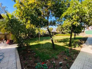 3bdrm House in Nifas Silk-Lafto for rent