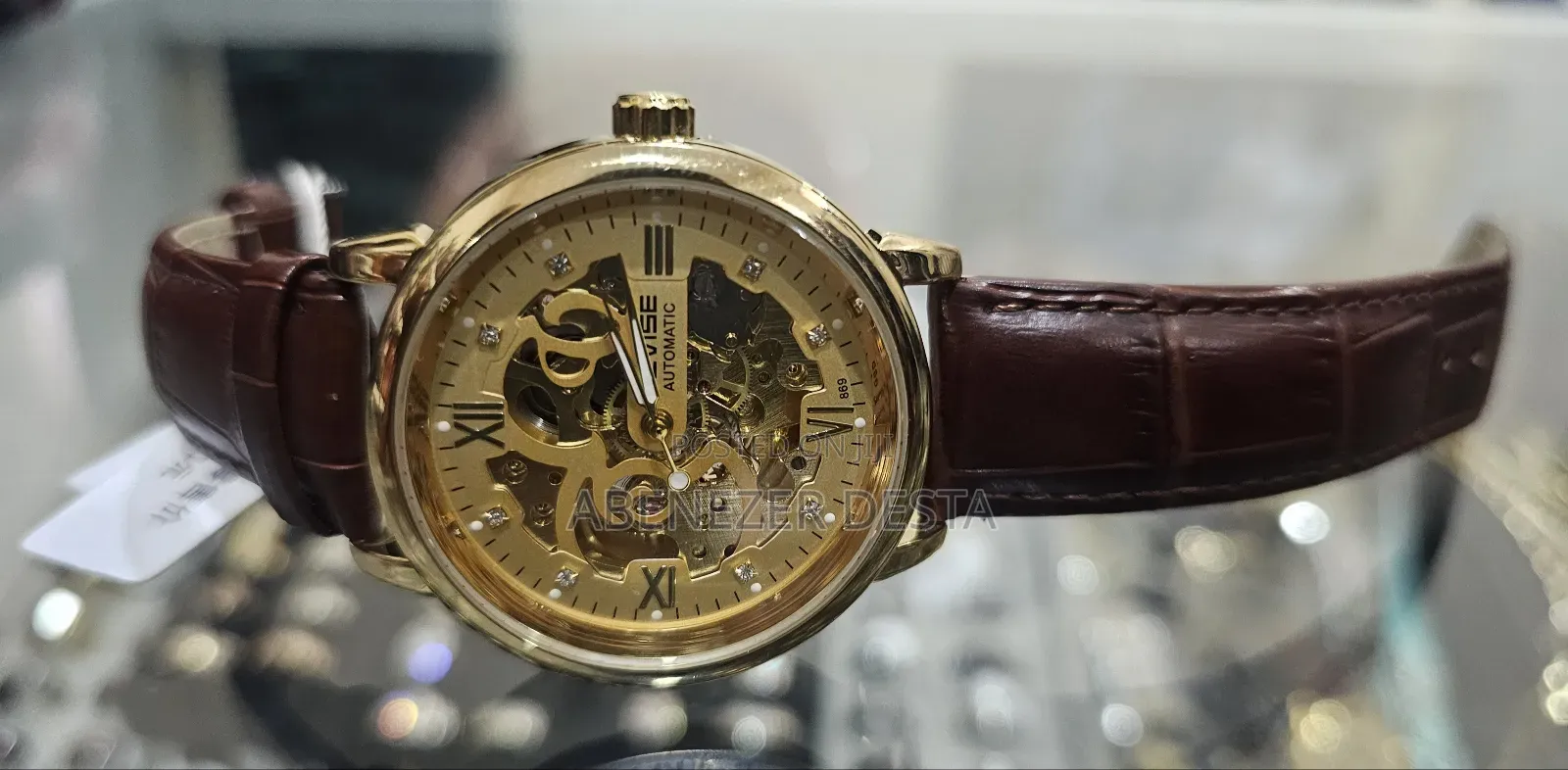 Tevise Full Automatic Watch