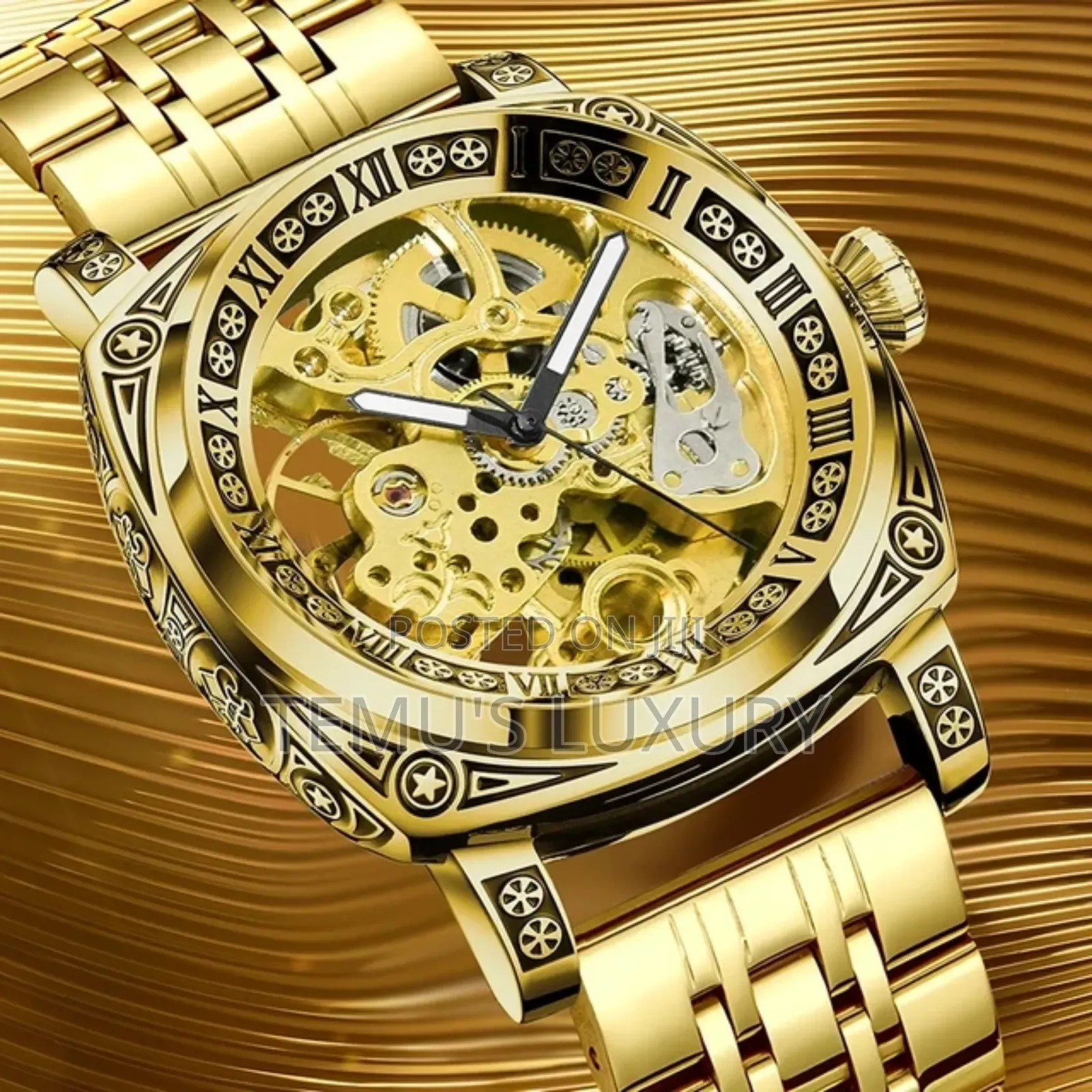 TEVISE Watch Waterproof Classic Automatic Mechanical Watch