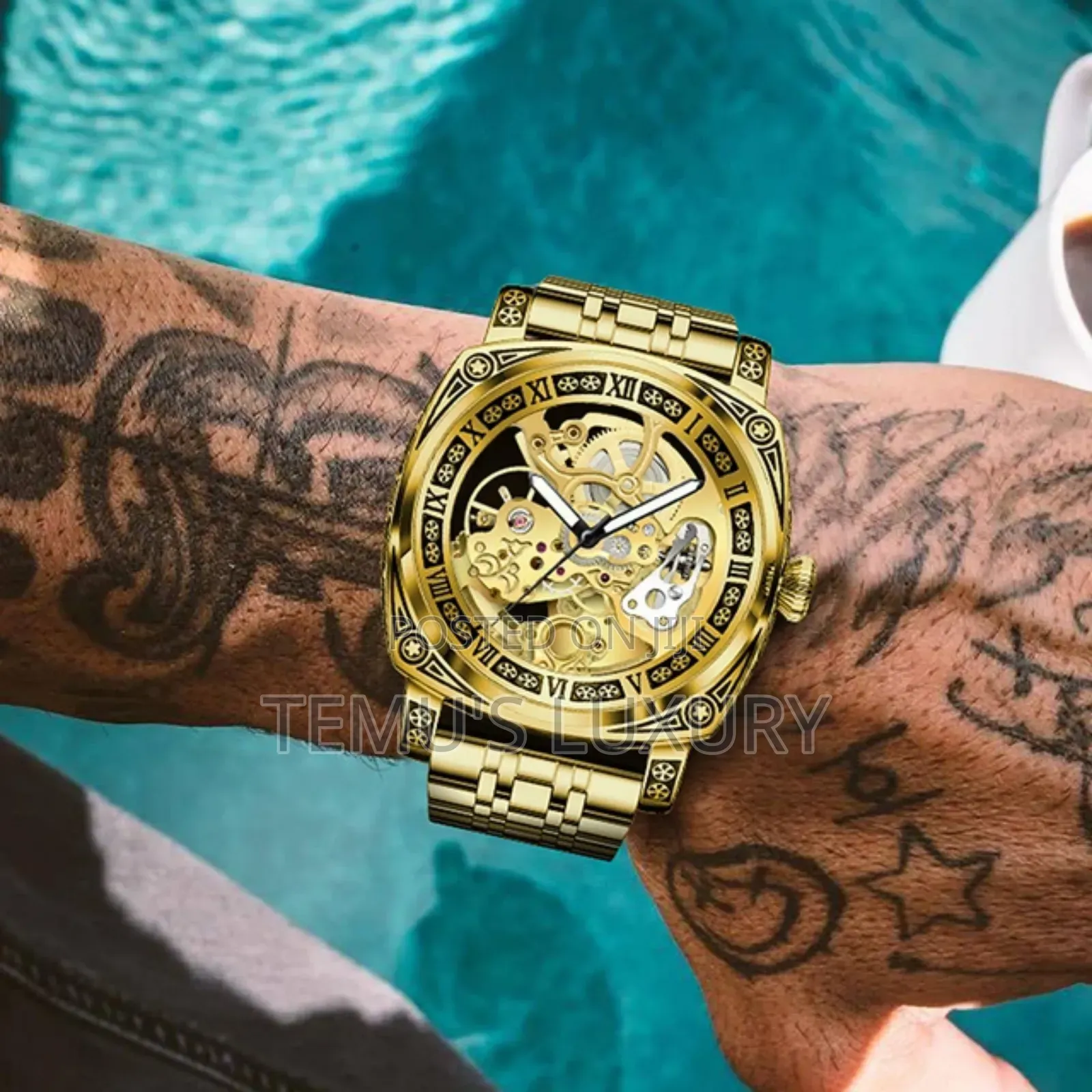 TEVISE Watch Waterproof Classic Automatic Mechanical Watch