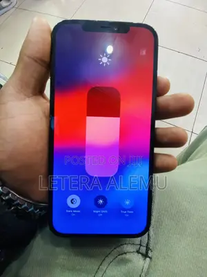 Apple iPhone 12 Pro Max 256 GB Blue