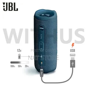 JBL Flip 6 Wireless Speaker