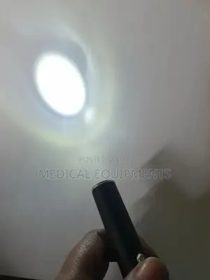 Professional Torch Light