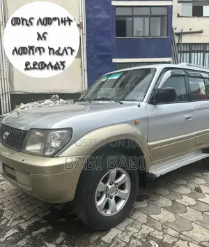 Toyota Land Cruiser 2001 Silver