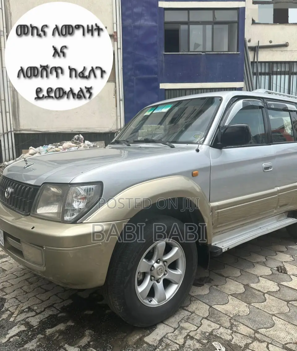 Toyota Land Cruiser 2001 Silver