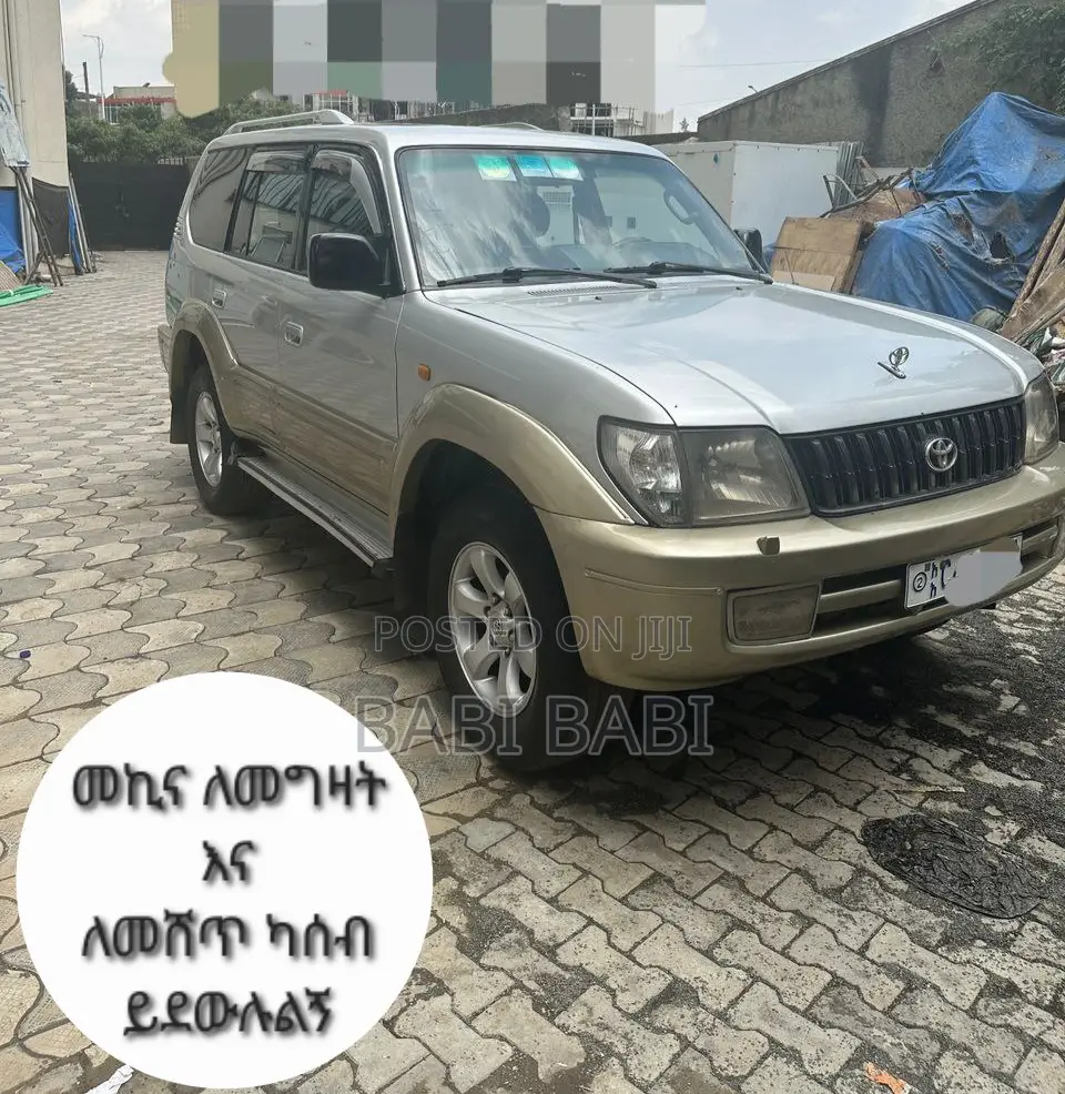 Toyota Land Cruiser 2001 Silver