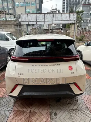 New BYD Seagull 38 kWh FWD 2024 White