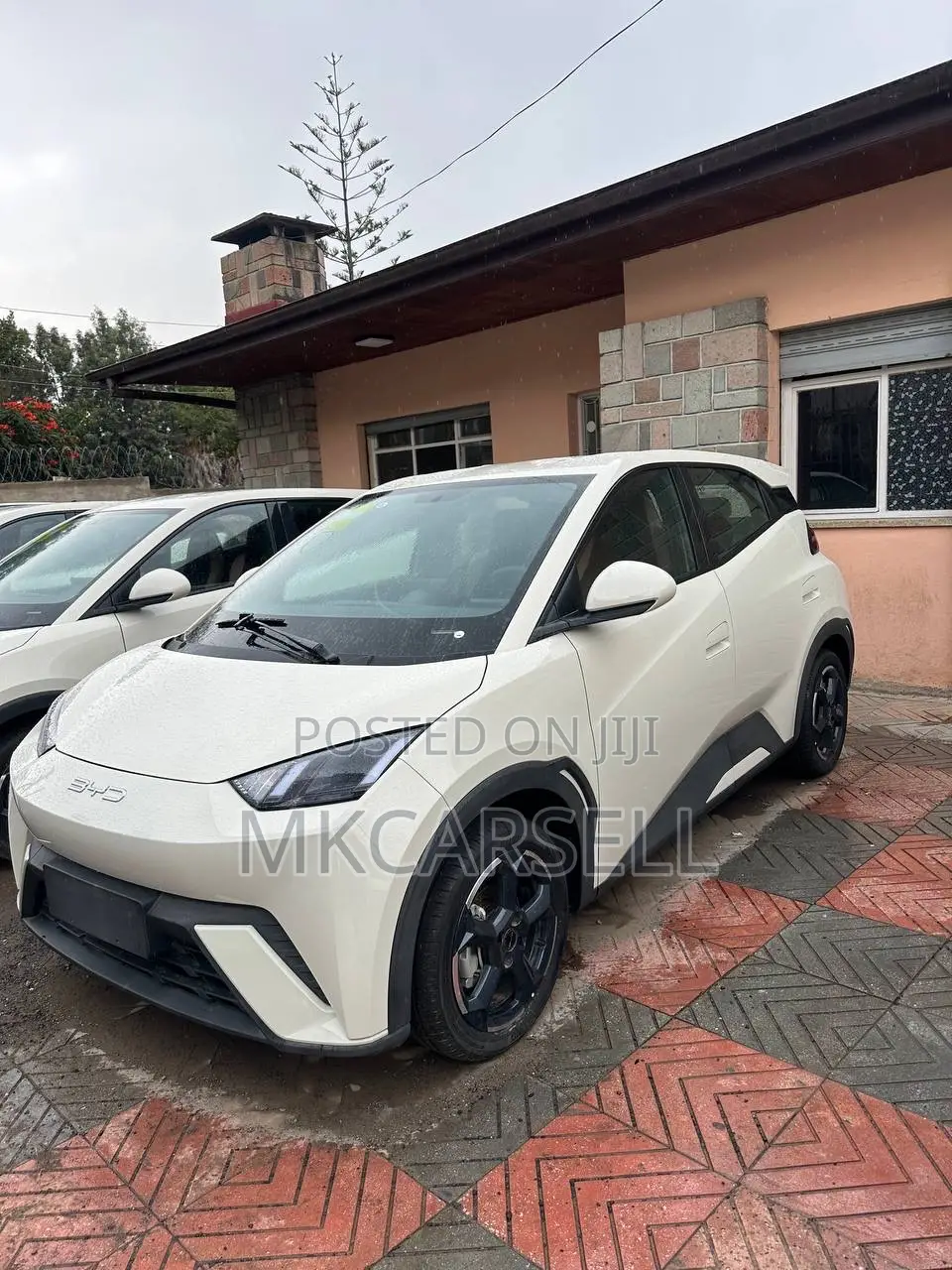 New BYD Seagull 38 kWh FWD 2024 White