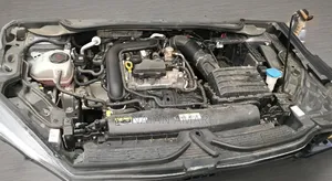 New Volkswagen 1 2023 Gray