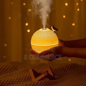 Lark Air Humidifier With LED Light