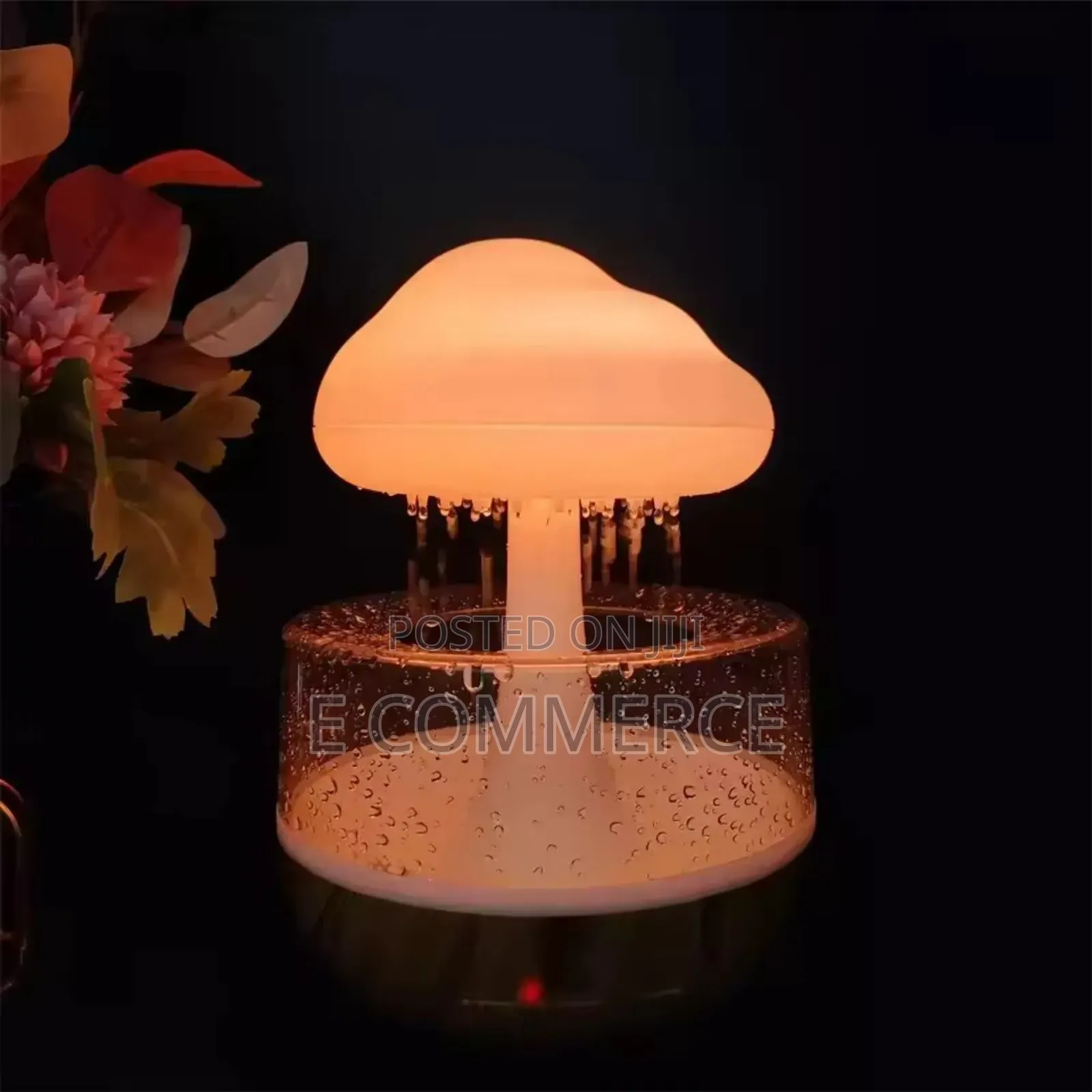 Cloud Rain Humidifier