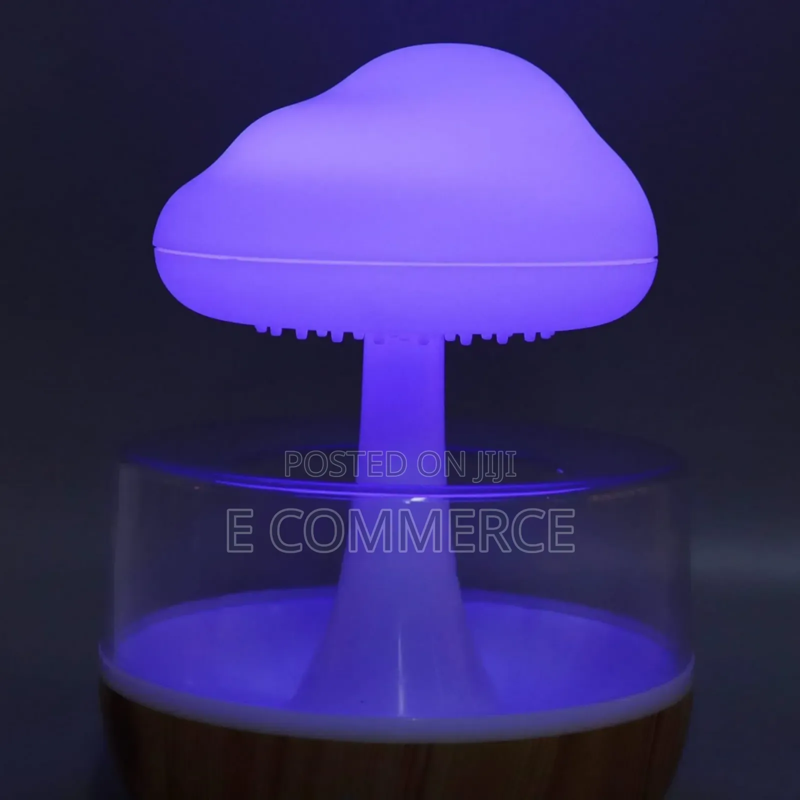 Cloud Rain Humidifier